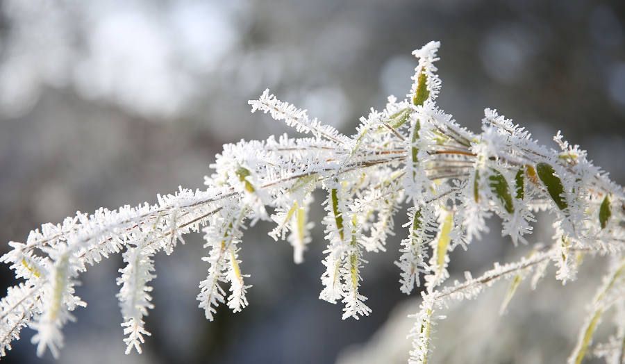 Protege tus oídos del frío para evitar otitis