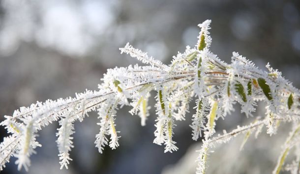 Protege tus oídos del frío para evitar otitis