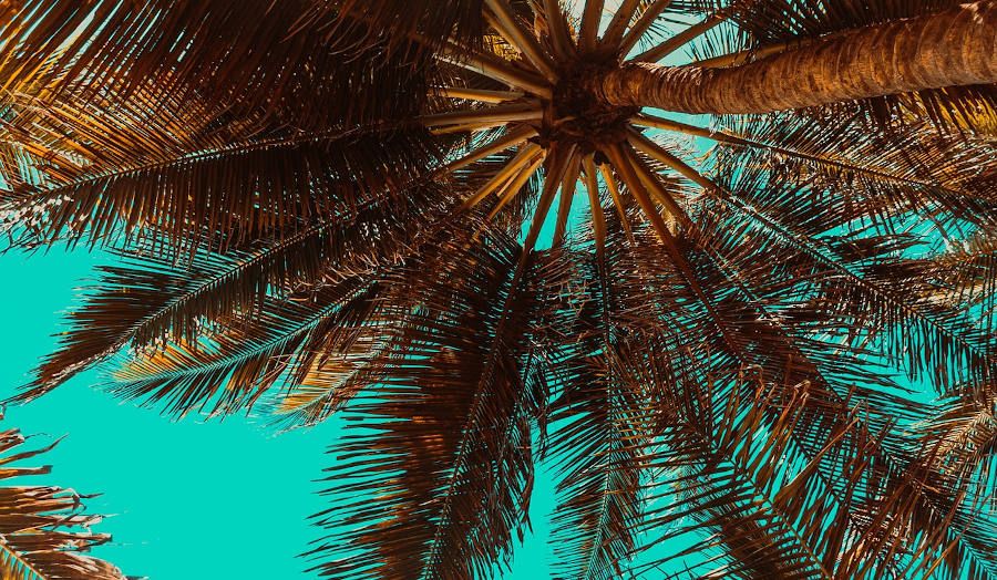 Cuidado de oídos verano